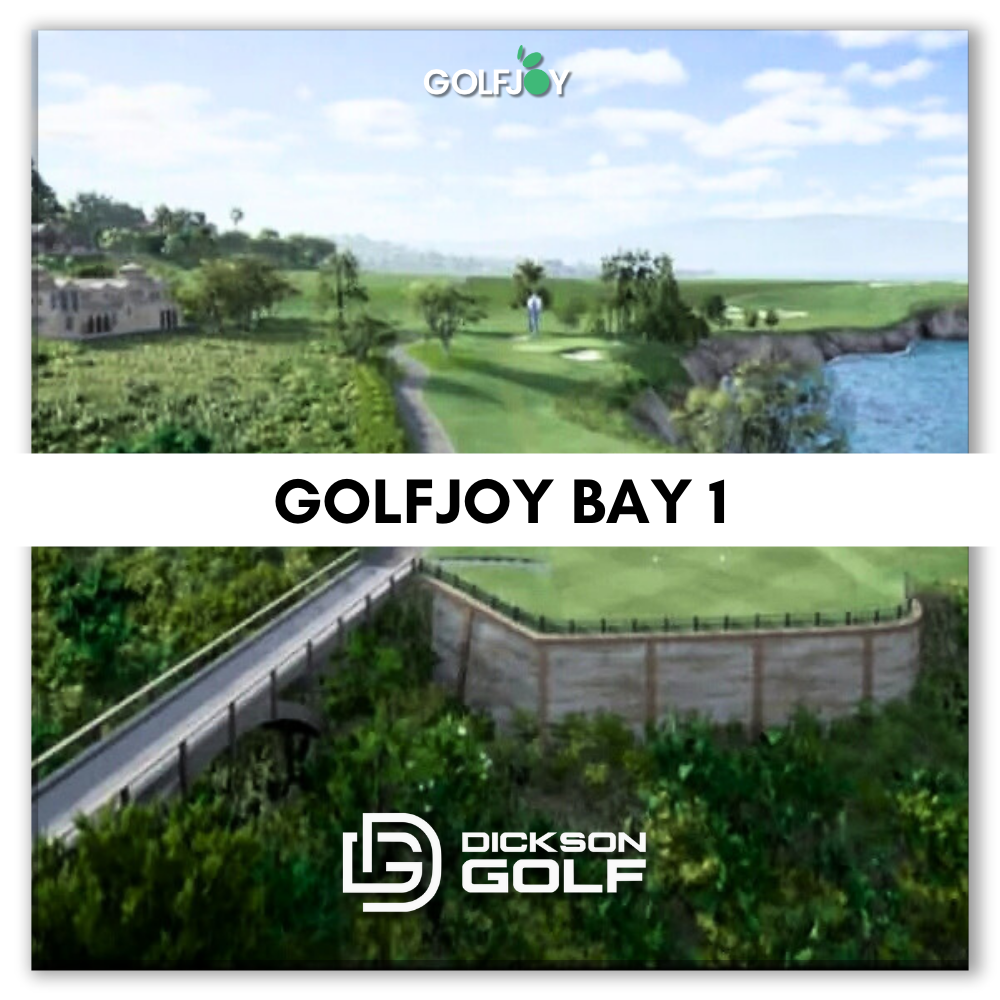 GolfJoy Bay 1